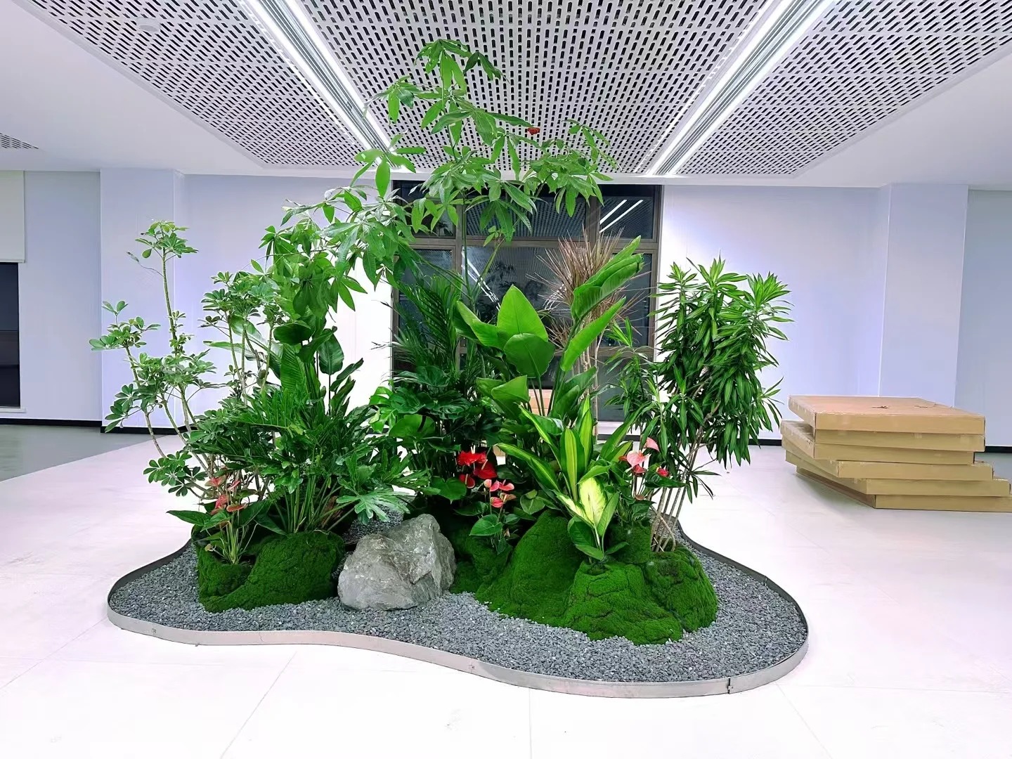 专业盆景租摆哪家强?宁波镇海有答案!